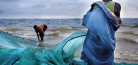 Бракониерството и робството – кръвни братя